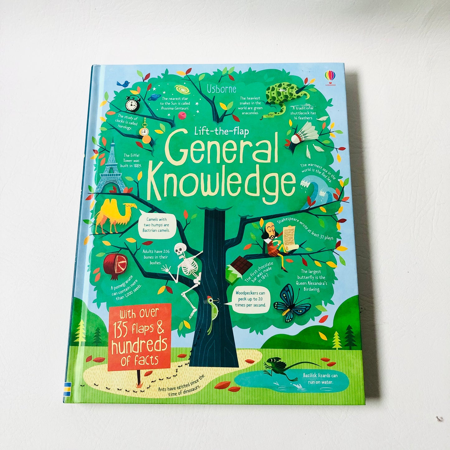 Usborne Lift-the-Flap General Knowledge Book Like New Educational Children 2015 (Like New)