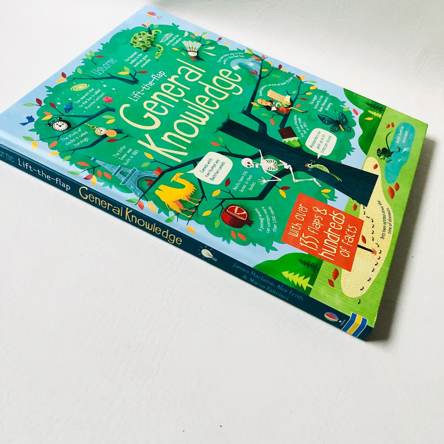 Usborne Lift-the-Flap General Knowledge Book Like New Educational Children 2015 (Like New)