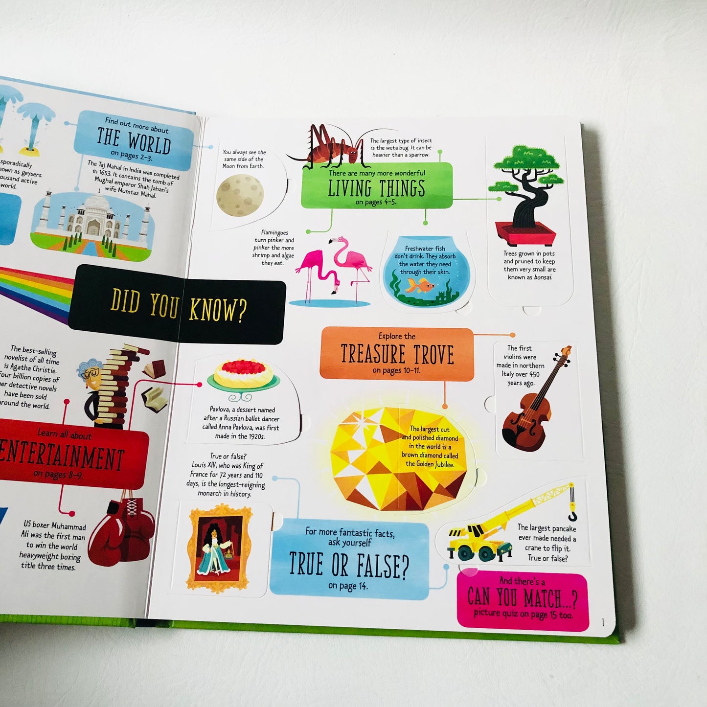 Usborne Lift-the-Flap General Knowledge Book Like New Educational Children 2015 (Like New)