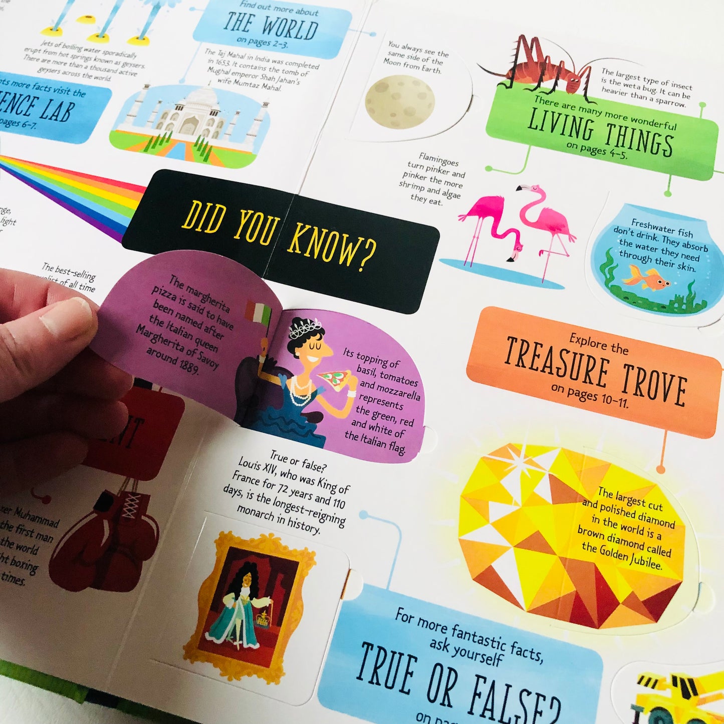 Usborne Lift-the-Flap General Knowledge Book Like New Educational Children 2015 (Like New)