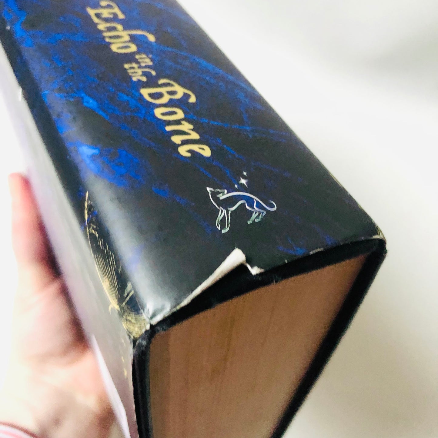 An Echo in the Bone by Diana Gabaldon (Hardcover, 2010) Outlander Novel Series No. 7