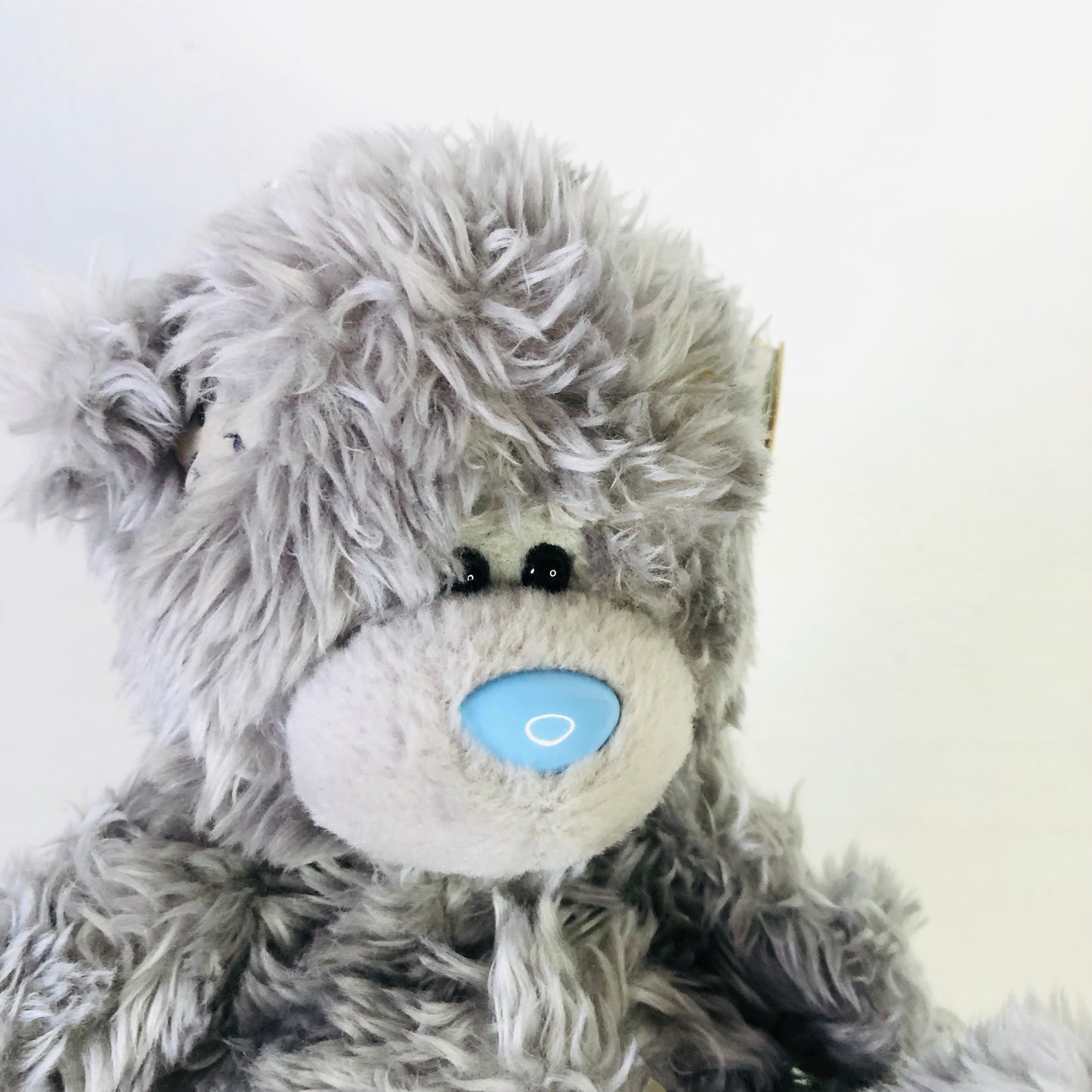 Me To You Tatty Teddy Blue Nose Soft Toy 7” Stuffed Bear With Tiara & Story Book