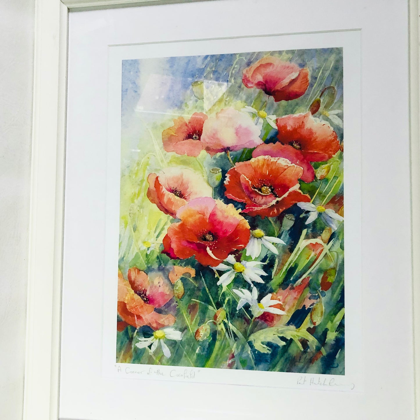 Pat Hatchley Signed ‘A Corner Of The Cornfield’ Large White Framed Print Poppies
