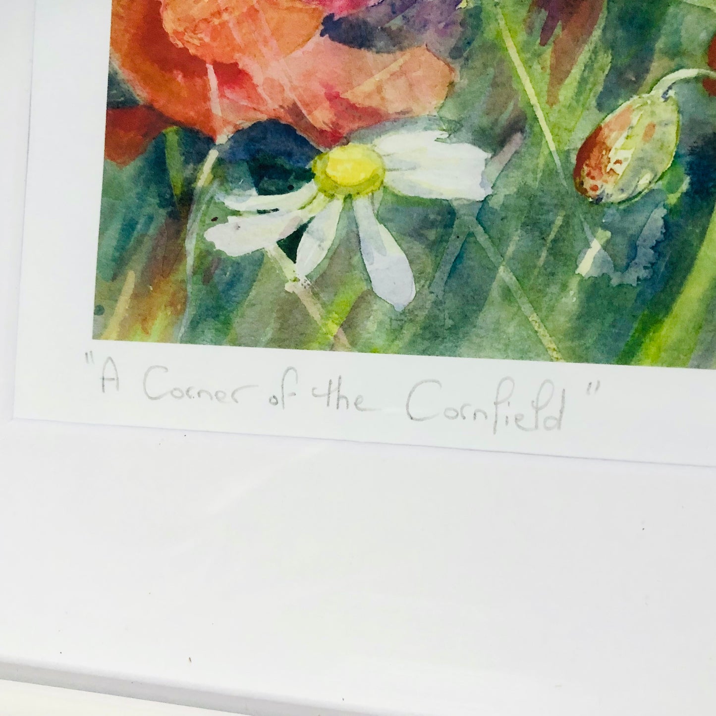 Pat Hatchley Signed ‘A Corner Of The Cornfield’ Large White Framed Print Poppies