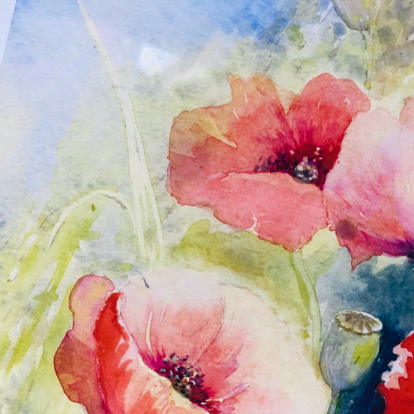Pat Hatchley Signed ‘A Corner Of The Cornfield’ Large White Framed Print Poppies