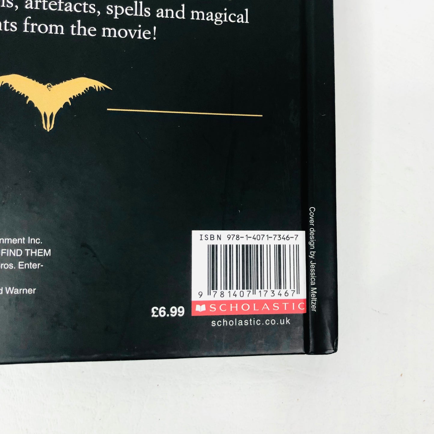 2x Fantastic Beasts And Where To Find Them HB Books (Inside The Magic / Magical Movie Handbook)