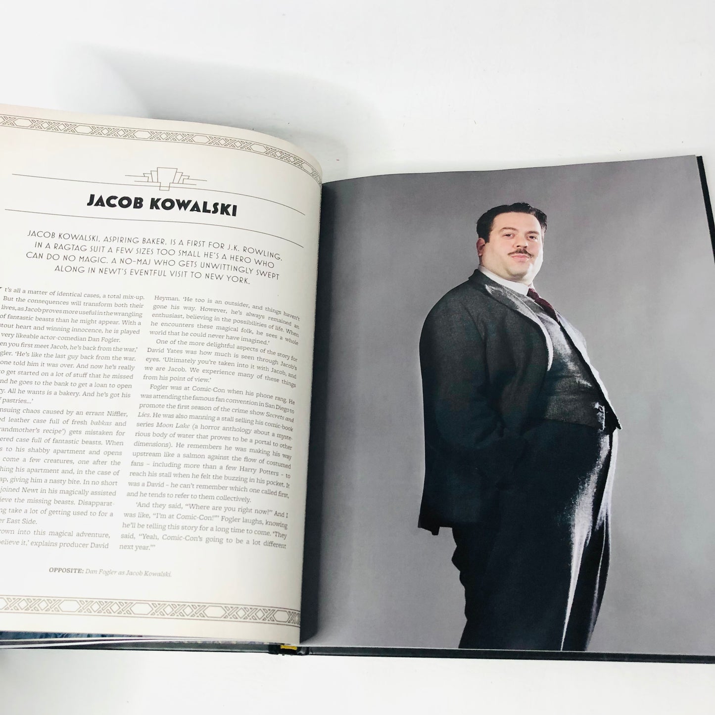 2x Fantastic Beasts And Where To Find Them HB Books (Inside The Magic / Magical Movie Handbook)