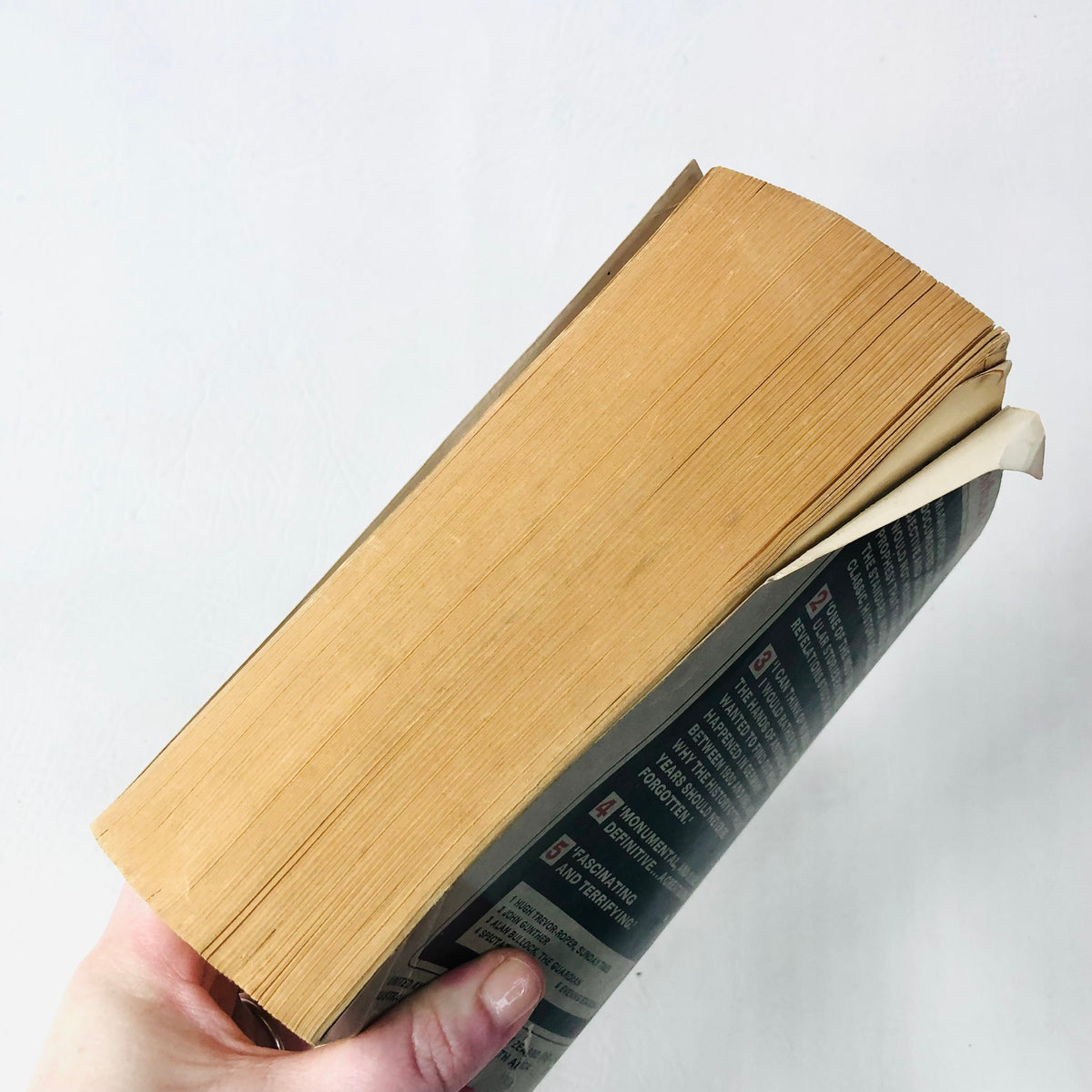 The Rise and Fall of the Third Reich William L. Shirer - History Nazi Germany - Vintage 1967 Pan Books