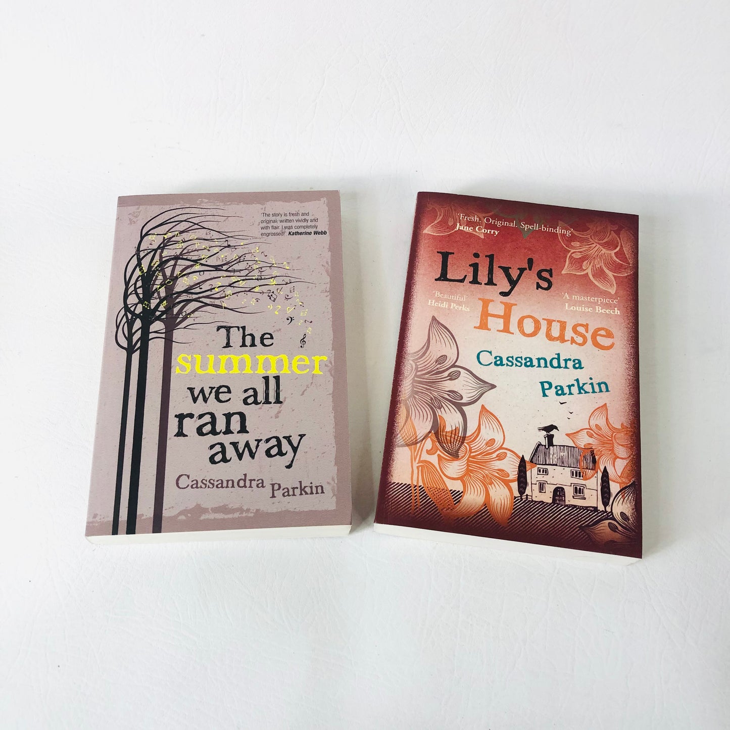 2x Cassandra Parkin Books Paperback Lily’s House & The Summer We Ran Away