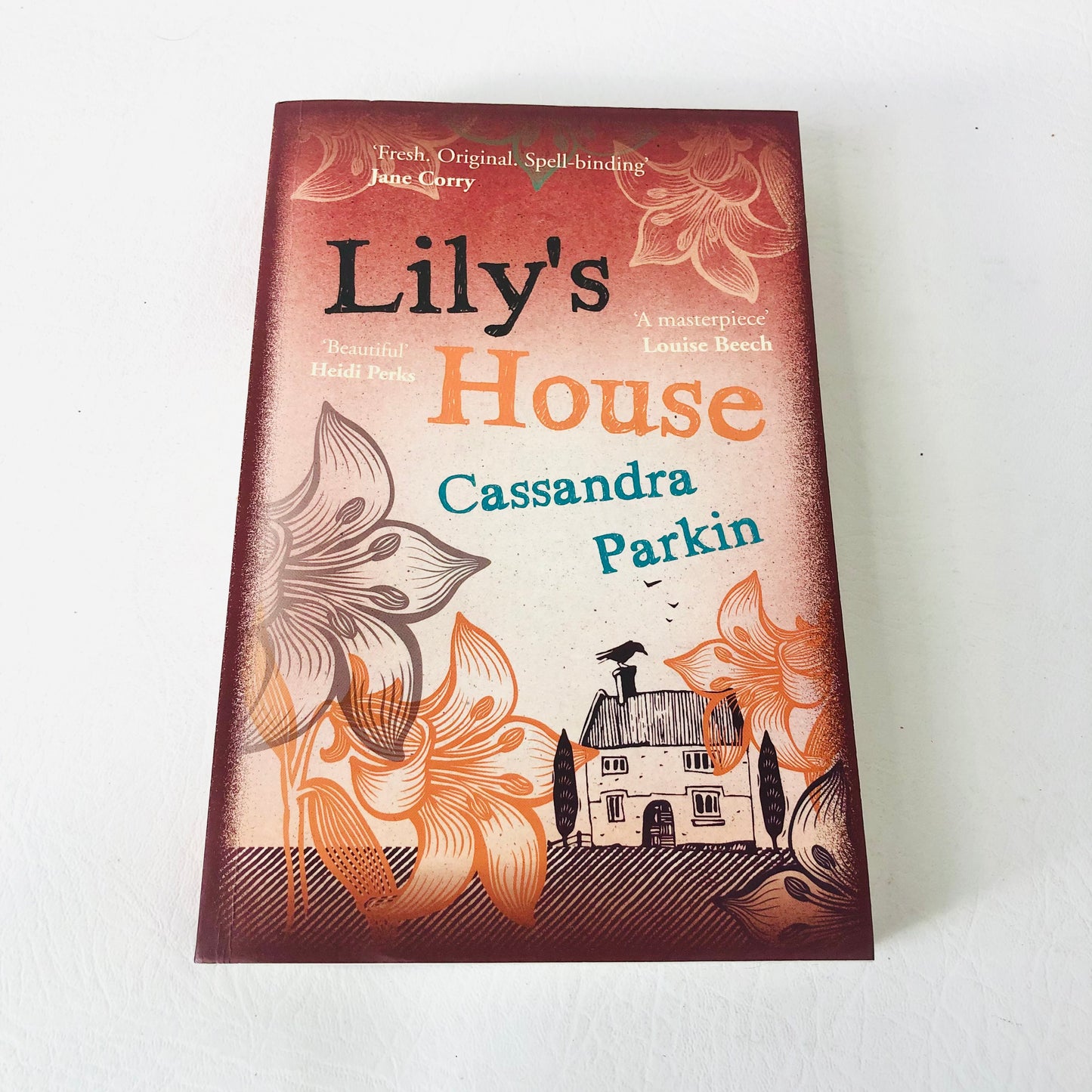 2x Cassandra Parkin Books Paperback Lily’s House & The Summer We Ran Away