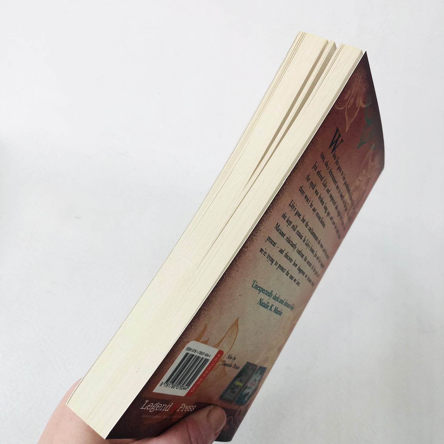 2x Cassandra Parkin Books Paperback Lily’s House & The Summer We Ran Away