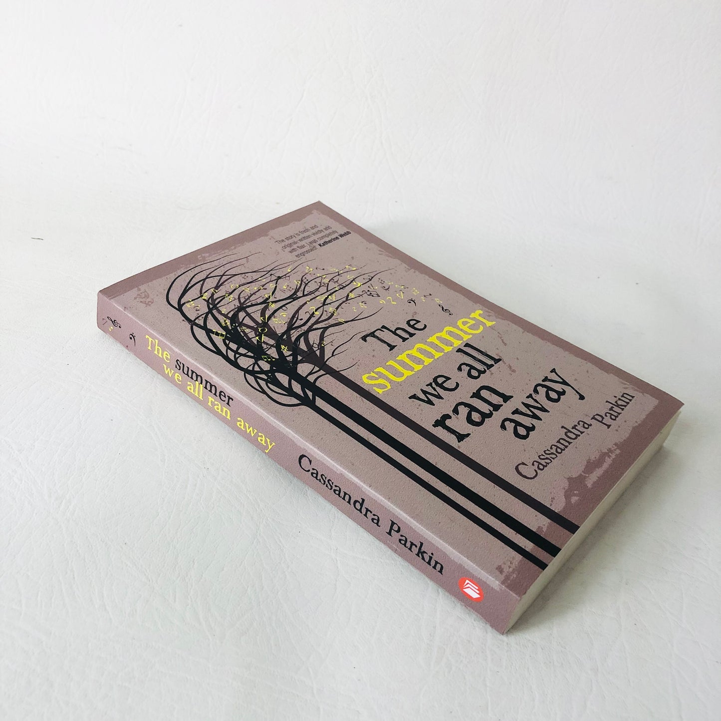 2x Cassandra Parkin Books Paperback Lily’s House & The Summer We Ran Away