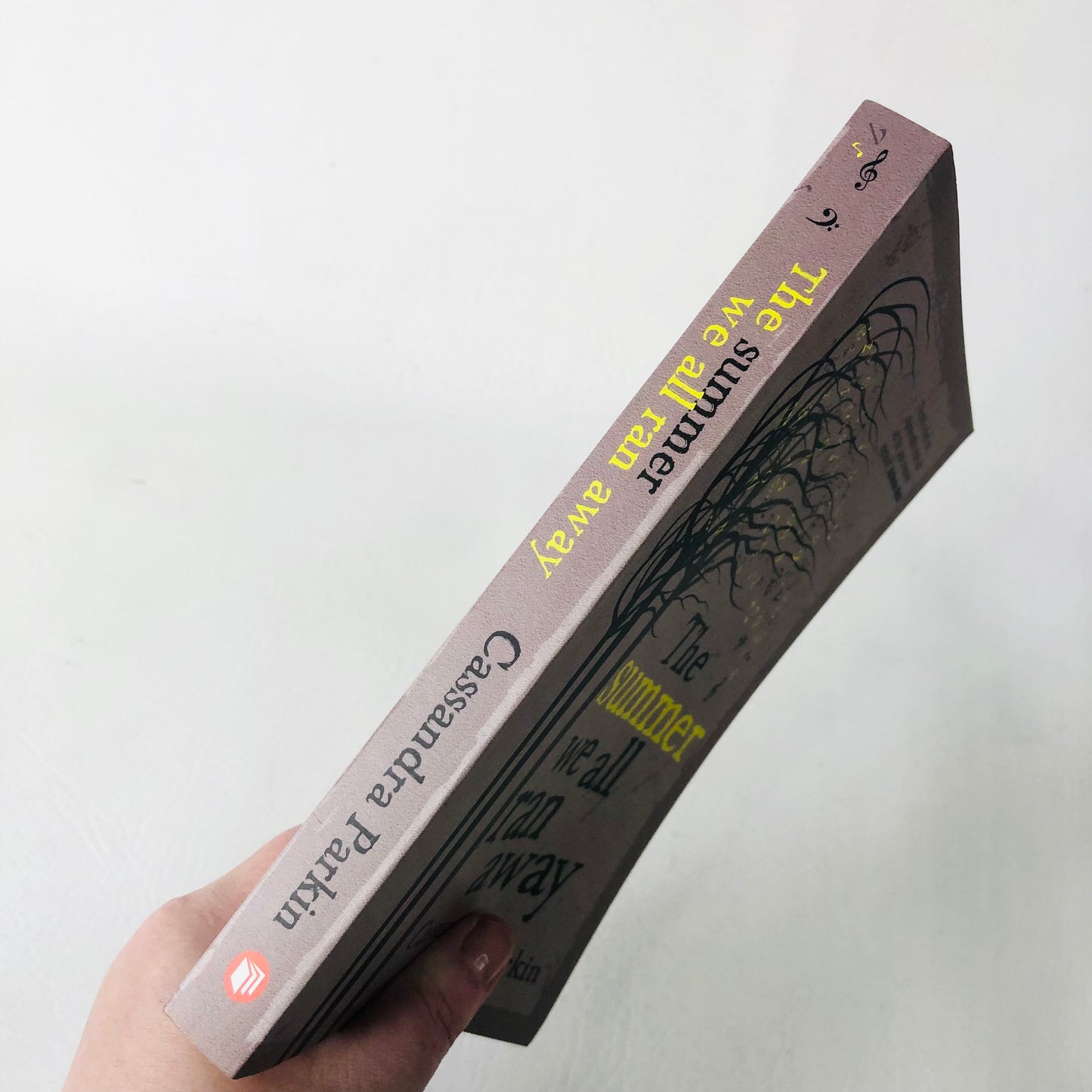 2x Cassandra Parkin Books Paperback Lily’s House & The Summer We Ran Away