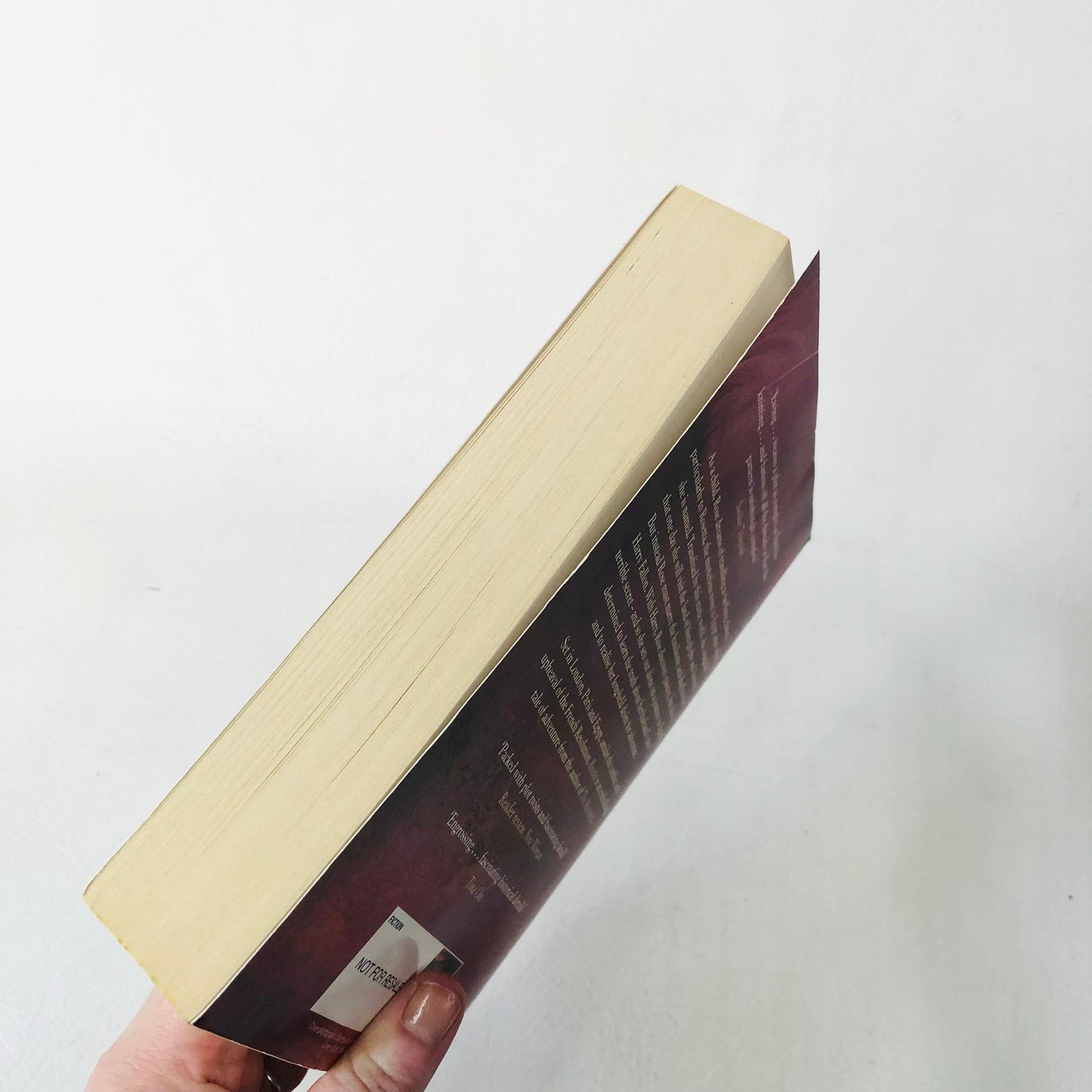 Rosetta by Barbara Ewing | Compelling Regency Historical Fiction Paperback 2008