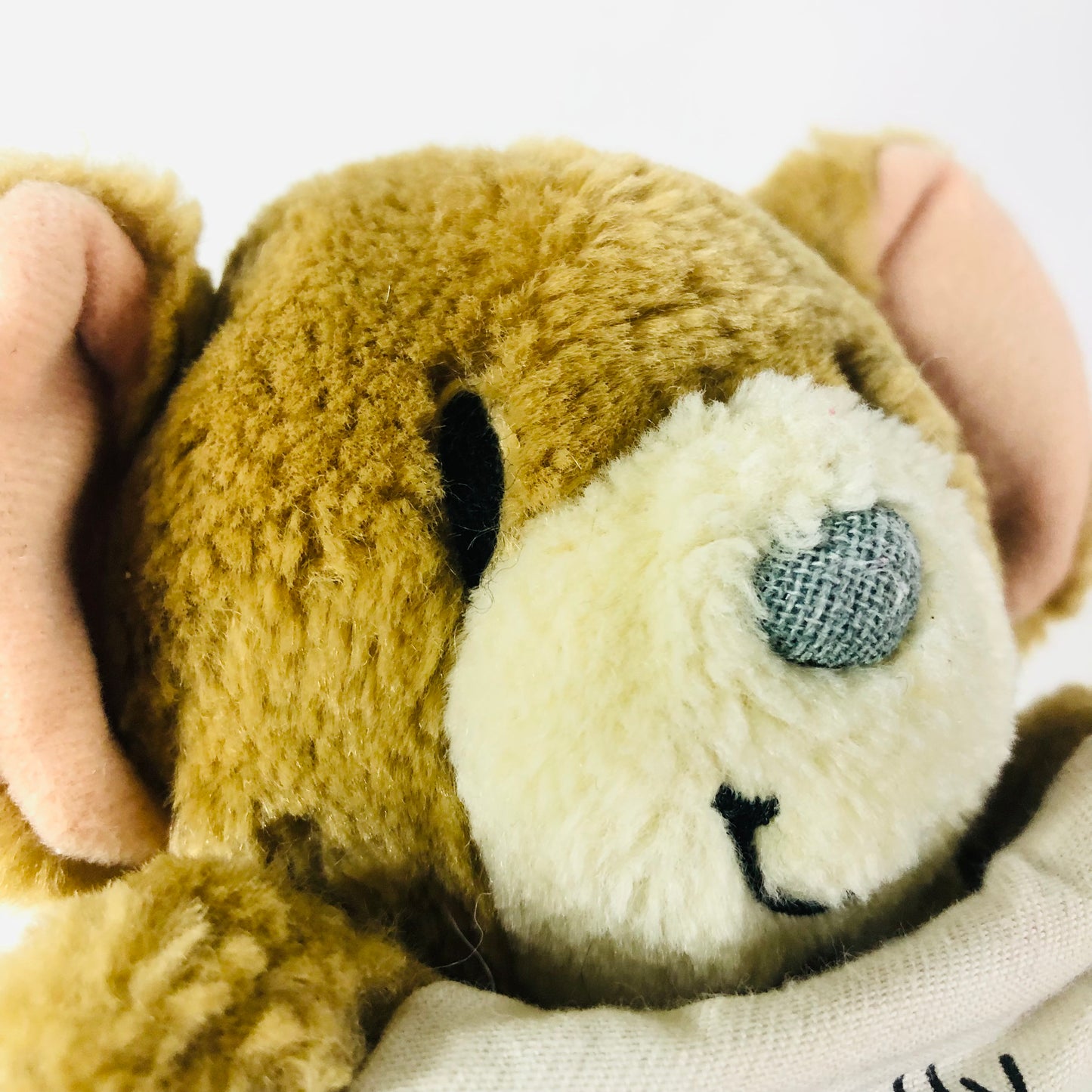 Vintage 1993 Paws For Thought Standing Mouse With Envelope Soft Plush Toy 7"