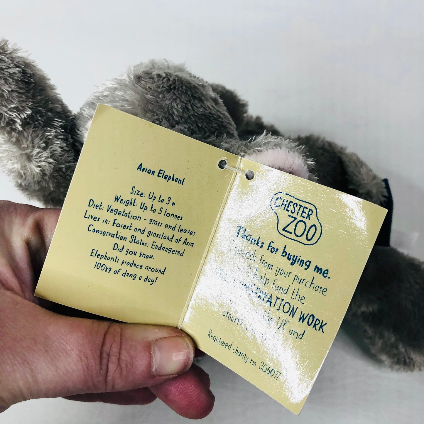 Aurora Chester Zoo Asian Elephant Plush Soft Toy 25cm Grey Stuffed Animal - NEW