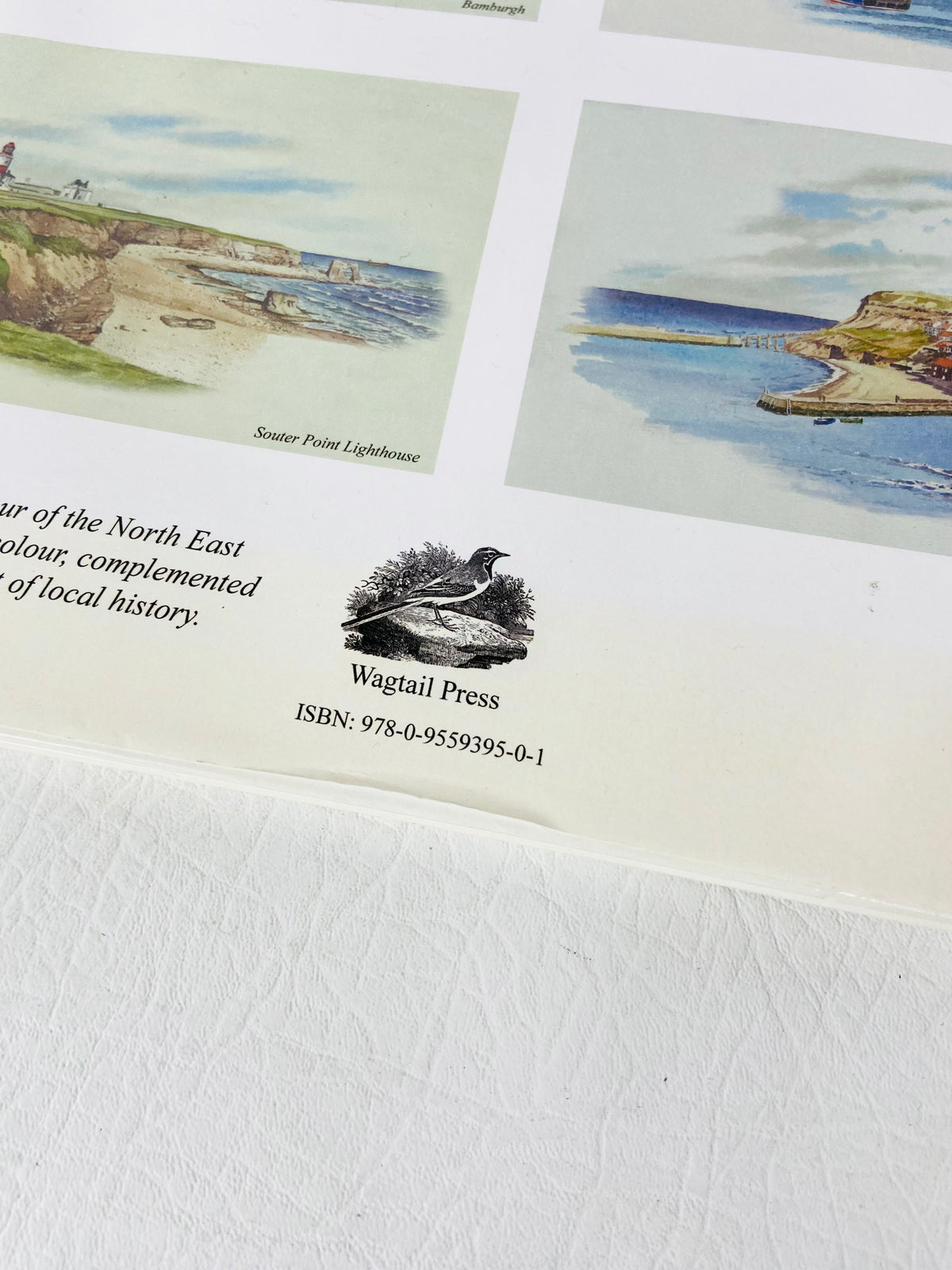 A Coastal Voyage in Watercolour: The Borders to the Humber Ron Thornton Hardback