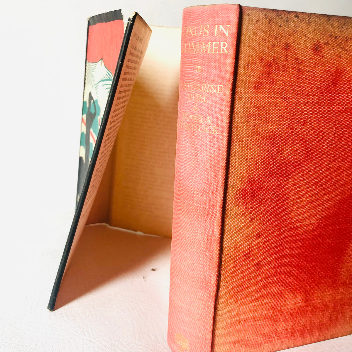 Oxus in Summer - Katharine Hull & Pamela Whitlock: The Far-Distant Oxus Gang Adventure Novel Rare 1939 1st Edition