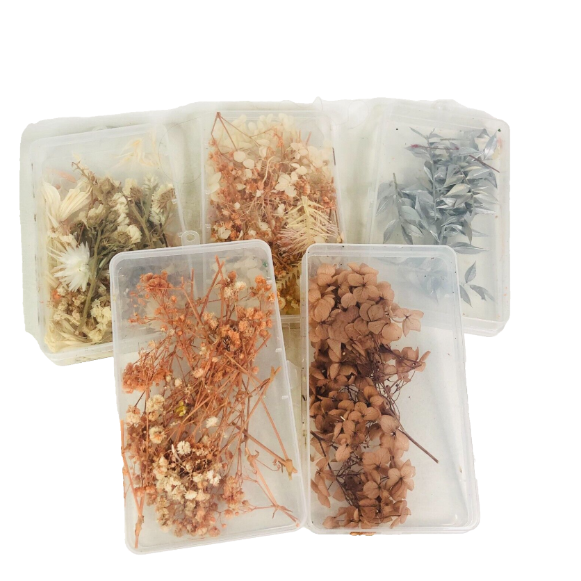 5x Plastic Boxes With Dried Flowers Craft Resin Natural Florals