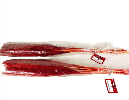 Hobbycraft 2x Burgundy Red Dried Nanal Grass Bunches 72cm NEW
