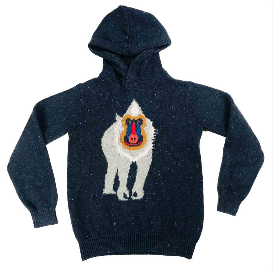 FatFace Boys Blue Animal Baboon Graphic Knit Hooded Jumper Age 10-11 Years