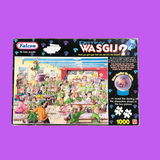 Wasgij? Destiny 1 Best Days Of Our Lives Robin Edmonds 1000 Piece Jigsaw Puzzle
