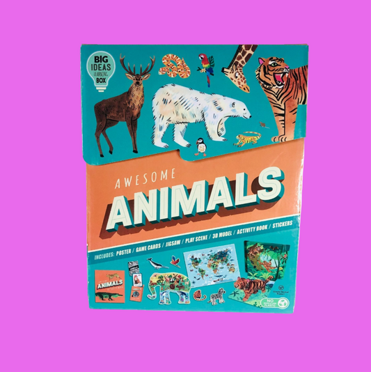 Awesome Animals: Big Ideas Learning Box for Children Puzzle Book Game RRP £19.99