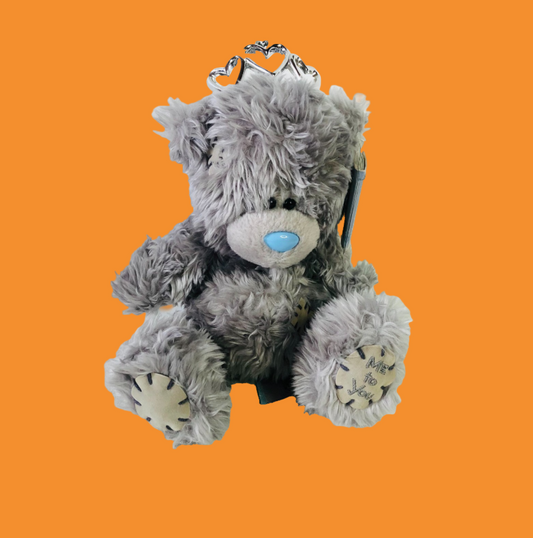 Me To You Tatty Teddy Blue Nose Soft Toy 7” Stuffed Bear With Tiara & Story Book