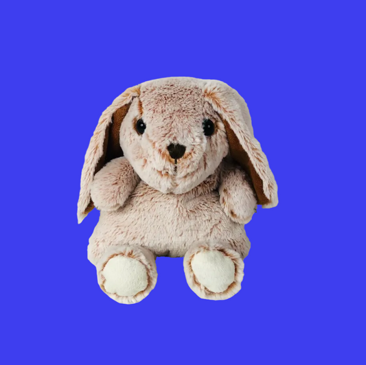 Microwaveable Bunny Plush – Super Soft Heatie – Warmies Style Beanbag