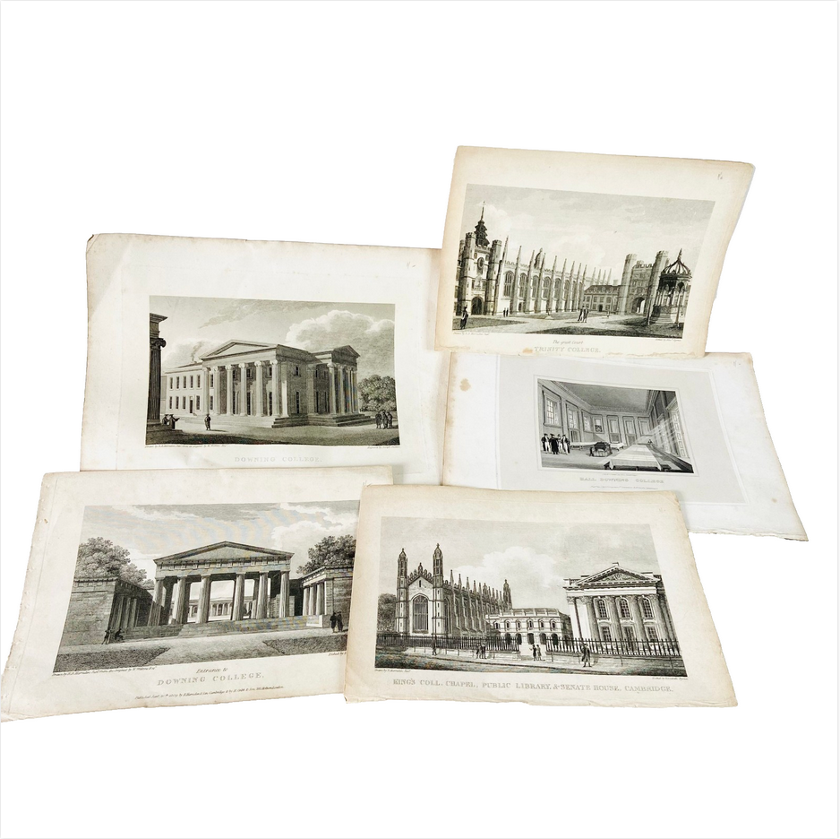Collection 5X Antique Engravings Paper Prints Cambridge Landmarks (Kings College, Downing College, Trinity College)
